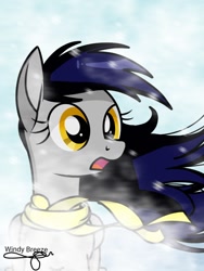 Size: 768x1024 | Tagged: safe, artist:windy breeze, oc, oc only, oc:stormlight, pegasus, pony, blizzard, clothes, female, ibispaint x, mare, scarf, shading, signature, snow, snowfall, snowflake, solo, wind, windswept mane