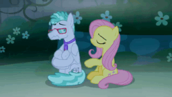 Size: 640x360 | Tagged: safe, screencap, feather flatterfly, fluttershy, pegasus, pony, g4, season 9, the summer sun setback, animated, duo, duo male and female, female, folded wings, freakout, frown, gif, glasses, head in hooves, male, mare, necktie, open mouth, panic attack, rocking, sitting, spread wings, stallion, talking, teeth, wing hands, wings