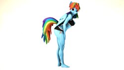 Size: 3840x2160 | Tagged: safe, artist:ndelngin, derpibooru exclusive, rainbow dash, pegasus, anthro, plantigrade anthro, g4, 3d, alternate hairstyle, ankles, ass, barefoot, bra, breasts, buff, busty rainbow dash, butt, clothes, feet, female, fit, folded wings, grin, hand on breasts, hand on thigh, happy, heart eyes, high res, huge butt, large butt, leaning, leaning forward, looking at you, muscles, muscular female, nexgen, nose wrinkle, pose, rainbuff dash, rainbutt dash, scrunchy face, simple background, slender, small breasts, smiling, smiling at you, solo, source filmmaker, standing, thighs, thin, toes, underwear, wall of tags, white background, wingding eyes, wings