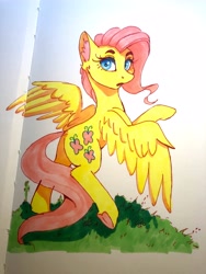 Size: 3024x4032 | Tagged: safe, artist:galinn-arts, fluttershy, pony, g4, female, mare, solo, traditional art