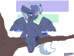 Size: 2048x1560 | Tagged: safe, artist:avery-valentine, pegasus, pony, :p, blue eyes, chest fluff, commission, simple background, solo, tongue out, tree, tree branch, white background