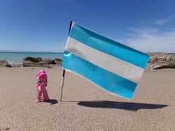 Size: 2048x1536 | Tagged: safe, artist:dingopatagonico, pinkie pie, earth pony, pony, g4, argentina, beach, flag, irl, photo, solo, toy