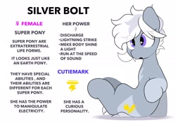 Size: 2064x1457 | Tagged: safe, artist:mochi_nation, oc, oc only, oc:silver bolt, earth pony, pony, engrish, female, mare, reference sheet, simple background, sitting, solo, white background