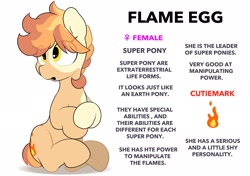 Size: 2064x1457 | Tagged: safe, artist:mochi_nation, oc, oc only, oc:flame egg, earth pony, pony, coat markings, female, mare, reference sheet, simple background, sitting, solo, white background