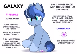 Size: 2064x1457 | Tagged: safe, artist:mochi_nation, oc, oc only, oc:galaxy, earth pony, pony, female, mare, reference sheet, simple background, smiling, solo, white background