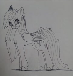 Size: 1973x2048 | Tagged: safe, artist:superduperath, rainbow dash, pony, g4, cute, solo, standing, traditional art
