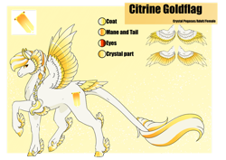 Size: 1024x725 | Tagged: safe, artist:oneiria-fylakas, oc, oc only, oc:citrine goldflag, pegasus, pony, feathered fetlocks, female, mare, reference sheet, solo, tail, tail feathers
