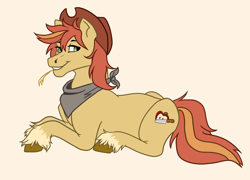 Size: 3636x2613 | Tagged: safe, oc, oc only, oc:zestar apple, earth pony, pony, clothes, hat, high res, looking at you, lying down, male, pink background, prone, scarf, simple background, solo, stallion, straw in mouth, unshorn fetlocks
