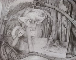 Size: 2048x1626 | Tagged: safe, artist:lbrcloud, applejack, earth pony, pony, g4, cute, forest, jackabetes, lantern, monochrome, solo, traditional art