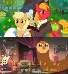 Size: 500x549 | Tagged: safe, applejack, big macintosh, mayor mare, bird, demon, earth pony, owl, pony, titan, g4, the big mac question, spoiler:the owl house, applecest, bug demon, collar, female, hooty, house demon, incest, king clawthorne, male, pet tag, ship:applemac, shipper on deck, shipping, skull, spoilers for another series, straight, the owl house
