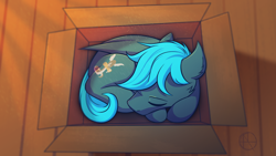 Size: 4000x2250 | Tagged: safe, artist:klarapl, oc, oc only, oc:guttatus, bat pony, pony, bat pony oc, behaving like a cat, box, male, pony in a box, sleeping, solo, stallion