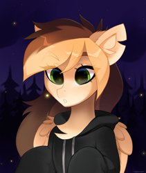 Size: 1600x1900 | Tagged: safe, alternate version, artist:zlatavector, oc, oc only, oc:astra, firefly (insect), insect, pegasus, pony, clothes, commission, female, forest, hoodie, mare, night, solo