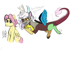 Size: 1600x1200 | Tagged: safe, artist:ladyfranlly, angel bunny, discord, fluttershy, draconequus, pegasus, pony, g4, butterscotch, duo, eris, eye clipping through hair, eyebrows, eyebrows visible through hair, female, flying, male, rule 63, ship:discoshy, ship:eriscotch, shipping, simple background, smiling, spread wings, stallion, straight, white background, wings