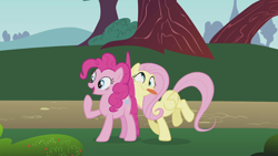 Size: 1920x1080 | Tagged: safe, screencap, fluttershy, pinkie pie, earth pony, pegasus, pony, dragonshy, g4, season 1, cute, derp, duo, duo female, faic, female, mare, pinkie being pinkie, raised hoof, shyabetes, silly, silly pony, tongue out