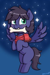 Size: 1122x1672 | Tagged: safe, artist:heretichesh, oc, oc only, oc:fenris ebonyglow, pegasus, pony, behaving like a dog, bone, clothes, flying, looking at you, mouth hold, scarf, solo, stars