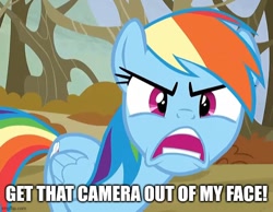 Size: 645x500 | Tagged: safe, edit, edited screencap, editor:thegamerpainter, screencap, rainbow dash, pegasus, pony, g4, season 5, tanks for the memories, angry, anti-bronybait, breaking the fourth wall, caption, chowder, cropped, female, image macro, looking at you, mare, mung daal, open mouth, ragebow dash, rainbow dash is best facemaker, reference, solo, teeth, text