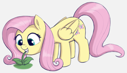 Size: 2511x1446 | Tagged: safe, artist:heretichesh, fluttershy, pegasus, pony, g4, cute, eating, female, flower, grazing, herbivore, highlights, horses doing horse things, leaning, mare, plant, shyabetes, solo