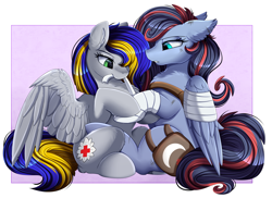 Size: 3509x2550 | Tagged: safe, artist:pridark, oc, oc only, oc:eagle fly, oc:lycania, pegasus, pony, bandage, duo, high res