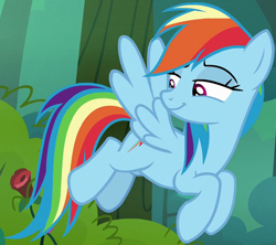 Size: 899x797 | Tagged: safe, screencap, rainbow dash, pegasus, pony, g4, the mean 6, cropped, female, mare, smiling, smirk, solo