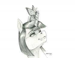 Size: 1400x1088 | Tagged: safe, artist:baron engel, oc, oc:marble vein, butterfly, pony, unicorn, butterfly on horn, female, horn, mare, monochrome, pencil drawing, story included, traditional art