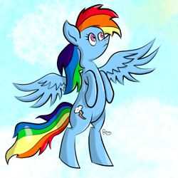 Size: 1080x1080 | Tagged: safe, artist:rossponeart, rainbow dash, pegasus, pony, g4, backwards cutie mark, cloud, flying, sky, solo