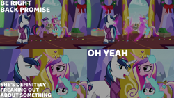 Size: 2000x1125 | Tagged: safe, edit, edited screencap, editor:quoterific, screencap, princess cadance, princess flurry heart, shining armor, twilight sparkle, alicorn, pony, unicorn, best gift ever, g4, baby, baby pony, clothes, earmuffs, female, messy mane, open mouth, scarf, sisters-in-law, star flurry heart, twilight snapple, twilight sparkle (alicorn), twilight's castle