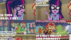 Size: 1986x1117 | Tagged: safe, edit, edited screencap, editor:quoterific, screencap, flam, flim, golden hazel, sandalwood, sci-twi, sunset shimmer, twilight sparkle, equestria girls, equestria girls specials, g4, my little pony equestria girls: better together, my little pony equestria girls: rollercoaster of friendship, angry, duo, duo female, duo male, female, flim flam brothers, glasses, it's not about the parakeet, male, messy hair, open mouth, rage, rageset shimmer
