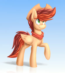 Size: 2400x2700 | Tagged: safe, artist:kaylerustone, oc, oc only, oc:kayle rustone, pegasus, pony, clothes, cowboy hat, hat, high res, looking up, male, scarf, smiling, stallion
