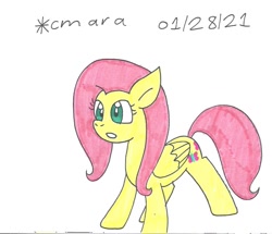 Size: 1153x992 | Tagged: safe, artist:cmara, fluttershy, pegasus, pony, g4, female, gritted teeth, mare, simple background, solo, traditional art, white background