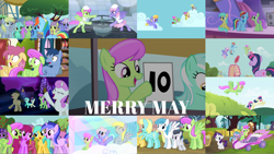 Size: 1978x1113 | Tagged: safe, edit, edited screencap, editor:quoterific, screencap, amethyst star, berry punch, berryshine, blue lily, blues, bon bon, cloud kicker, derpy hooves, dizzy twister, doctor whooves, lightning bolt, lyra heartstrings, meadow song, merry may, noteworthy, orange swirl, parasol, rainbow dash, rainbowshine, rarity, rumble, sassaflash, sea swirl, seafoam, sparkler, sunshower raindrops, sweetie drops, time turner, twilight sparkle, twinkleshine, white lightning, earth pony, pegasus, pony, unicorn, do princesses dream of magic sheep, fall weather friends, g4, hurricane fluttershy, it isn't the mane thing about you, it's about time, leap of faith, lesson zero, sonic rainboom (episode), tanks for the memories, the cart before the ponies, the mysterious mare do well, the summer sun setback, the super speedy cider squeezy 6000, 10, background pony, bipedal, colt, duo, eyes closed, female, filly, filly rarity, fusion, judges, lyrabon (fusion), male, mare, open mouth, pushmi-pullyu, shocked, stallion, trio, trio female, unicorn twilight, younger