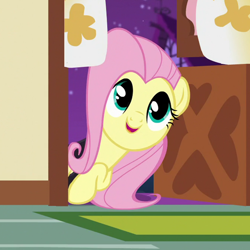 Size: 670x670 | Tagged: safe, screencap, fluttershy, pegasus, pony, g4, scare master, season 5, cropped, cute, female, mare, shyabetes, solo