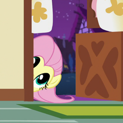 Size: 670x670 | Tagged: safe, screencap, fluttershy, pegasus, pony, scare master, cropped, cute, female, hiding, mare, shyabetes, solo