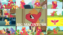 Size: 1968x1109 | Tagged: safe, edit, edited screencap, editor:quoterific, screencap, apple honey, apple tarty, applejack, big macintosh, perfect pie, alicorn, cat, earth pony, pony, unicorn, do princesses dream of magic sheep, dungeons and discords, friendship is magic, going to seed, hard to say anything, leap of faith, lesson zero, magic duel, on your marks, the big mac question, the break up breakdown, the cutie pox, the super speedy cider squeezy 6000, alicornified, angry, apple, apple family member, big jackintosh, confused, cupcake, disguise, eyes closed, female, food, glowing horn, goggles, heart eyes, horn, magic, magic aura, male, open mouth, pancakes, princess big mac, race swap, sir mcbiggen, solo, surprised, trio, unicorn big mac, wingding eyes