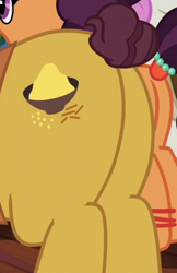 Size: 244x377 | Tagged: safe, screencap, coriander cumin, saffron masala, twinkleshine, pony, unicorn, g4, spice up your life, butt, cropped, cutie mark, pictures of butts, plot