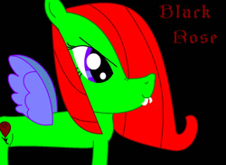 Size: 900x660 | Tagged: safe, artist:kiarakovu123, oc, oc:black rose, oc:may, pegasus, pony, antagonist, black background, cutie mark, evil, evil side, female, flower, mare, narrowed eyes, pure unfiltered evil, purple wings, rose, simple background, teeth, wings