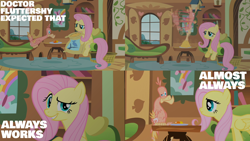 Size: 1986x1117 | Tagged: safe, edit, edited screencap, editor:quoterific, screencap, fluttershy, philomena, bird, pony, a bird in the hoof, g4, always works, bird seed, breaking the fourth wall, cottage, dreamworks face, duo, female, gritted teeth, looking at you, male, sitting