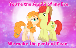 Size: 4600x2900 | Tagged: safe, artist:andoanimalia, bright mac, pear butter, earth pony, pony, g4, buttercup, female, hearts and hooves day, male, ship:brightbutter, shipping, straight