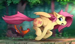 Size: 2410x1435 | Tagged: safe, artist:yakovlev-vad, fluttershy, bird, chicken, pegasus, pony, g4, alektorophobia, animal, blurry background, chase, female, floppy ears, forest, looking back, mare, open mouth, rooster, running, slender, spread wings, thin, windswept mane, wings