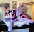 Size: 1140x1062 | Tagged: safe, artist:purplenebulastudios, twilight sparkle, alicorn, pony, g4, irl, life size, lying down, photo, plushie, prone, solo, twilight sparkle (alicorn)