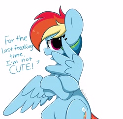Size: 4096x3959 | Tagged: safe, artist:kittyrosie, rainbow dash, pegasus, pony, g4, annoyed, backwards cutie mark, blatant lies, blushing, crossed hooves, cute, dashabetes, denial, denial's not just a river in egypt, feathered wings, hiding behind wing, i'm not cute, simple background, solo, talking to viewer, tsunderainbow, tsundere, white background, wings