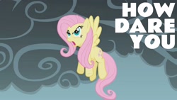 Size: 1920x1080 | Tagged: safe, edit, edited screencap, editor:quoterific, screencap, fluttershy, pegasus, pony, dragonshy, g4, season 1, angry, female, flying, how dare you?, open mouth, solo