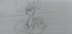 Size: 4128x1952 | Tagged: safe, artist:dhm, rainbow dash, g4, curtains, floor, pillow, sitting, smiling, window