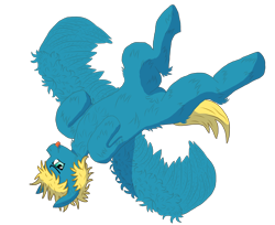 Size: 3212x2616 | Tagged: safe, artist:sroka001, oc, oc only, oc:cinimod, pegasus, pony, :p, fluffy, high res, lying down, on back, solo, tongue out
