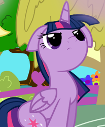 Size: 385x466 | Tagged: safe, artist:pyruvate, twilight sparkle, alicorn, pony, comic:dragon queen, g4, cute, folded wings, looking up, reaction image, solo, twilight sparkle (alicorn), wings