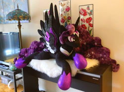 Size: 938x699 | Tagged: safe, artist:purplenebulastudios, oc, oc only, oc:lady nebula, alicorn, pony, female, irl, mare, photo, plushie, solo