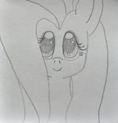 Size: 1024x1073 | Tagged: safe, artist:hofdawn, fluttershy, g4, bust, cute, doodle, portrait, shyabetes