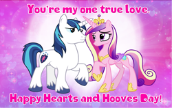 Size: 4600x2900 | Tagged: safe, artist:andoanimalia, princess cadance, shining armor, g4, hearts and hooves day