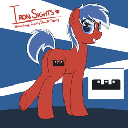 Size: 1800x1800 | Tagged: safe, artist:ponynamedmixtape, oc, oc only, oc:iron sights, earth pony, pony, colored, deputy, female, flat colors, looking at you, looking back, looking back at you, police officer, reference sheet, solo