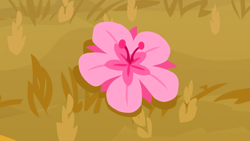Size: 1280x720 | Tagged: safe, screencap, g4, hard to say anything, background, cherry blossom flower, no pony, scenic ponyville