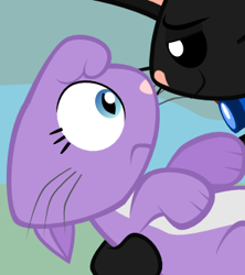 Size: 296x334 | Tagged: safe, artist:magerblutooth, edit, diamond tiara, oc, oc:dazzle, cat, comic:diamond and dazzle, g4, bedroom eyes, canon x oc, catified, collar, cropped, dazzletiara, female, male, shipping, smiling, species swap, straight